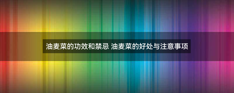 油麦菜图片3