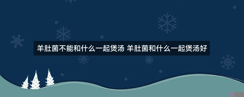 羊肚菌1.jpg