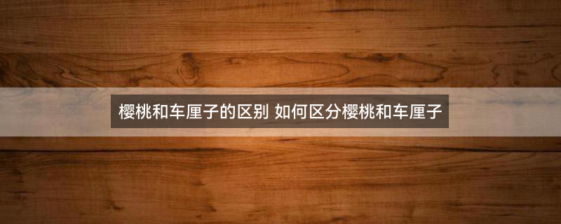 车厘子1.jpg