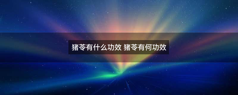 肾脏1.jpg