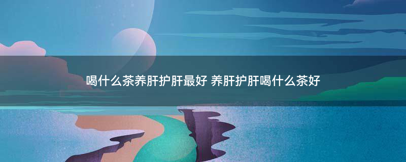 普洱茶2 (2).jpg