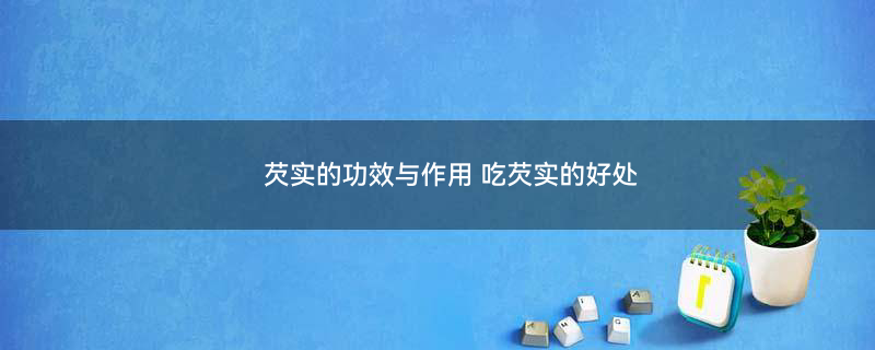 芡实2.jpg
