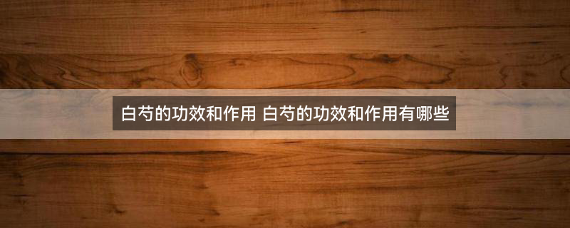 白芍2