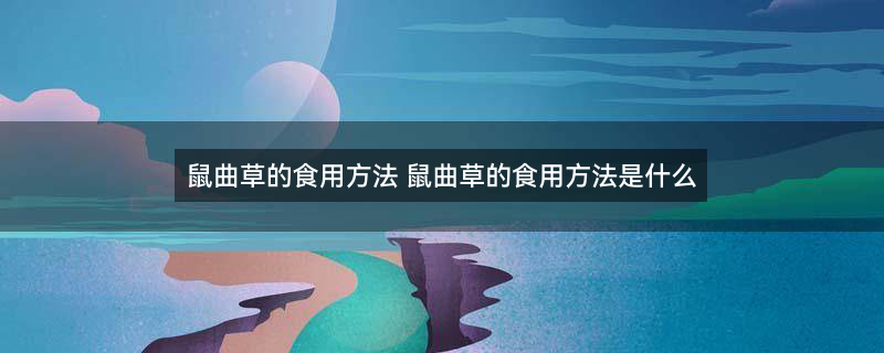 摄图网_500903038_绿色小草生机勃勃（企业商用）.jpg