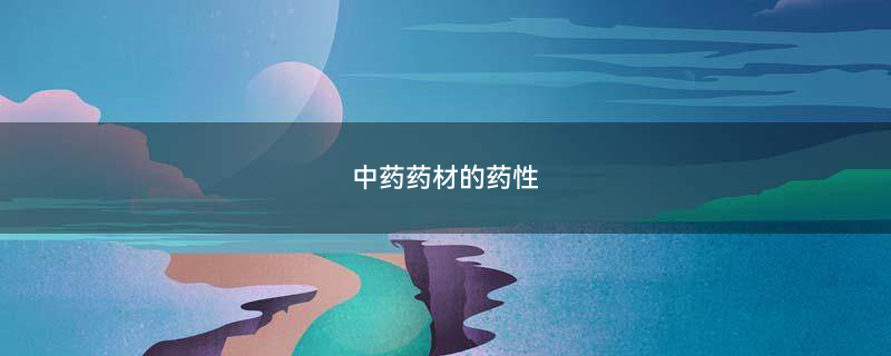 金银花1.jpg