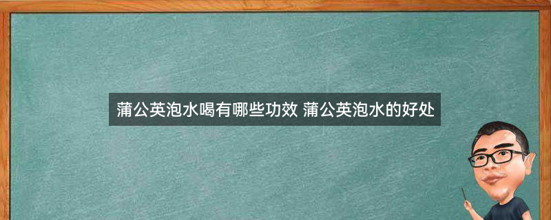 蒲公英(1).jpg