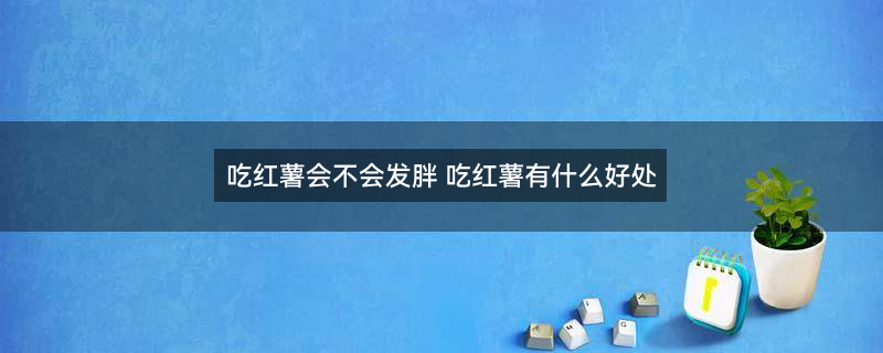 红薯.jpg