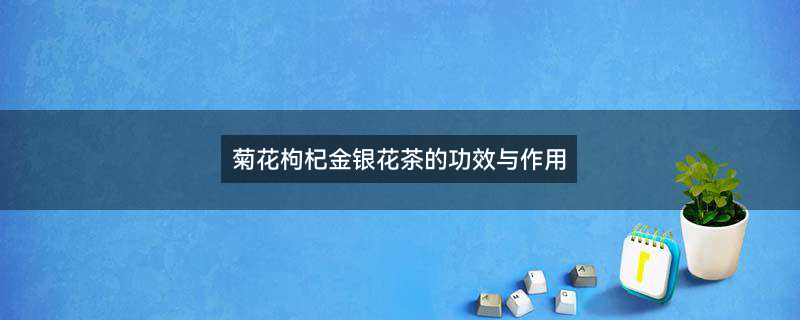 金银花2.jpg