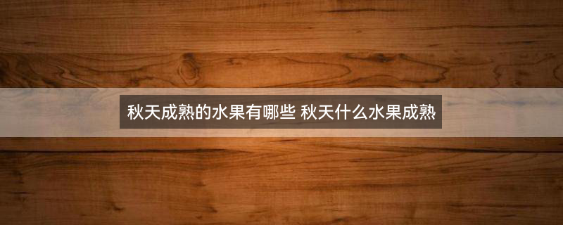 橙子1.jpg