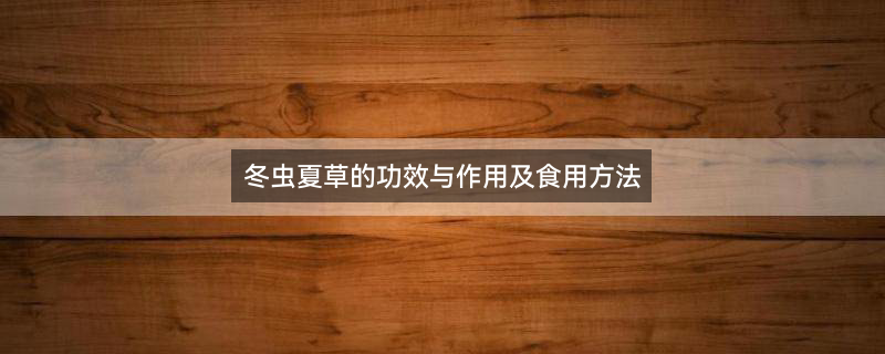 冬虫夏草3.jpg