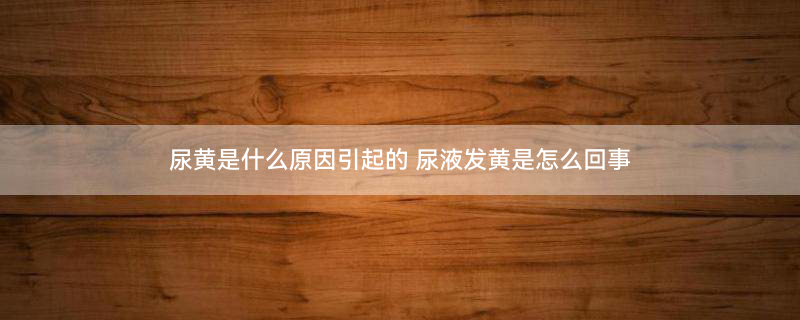 315.jpg