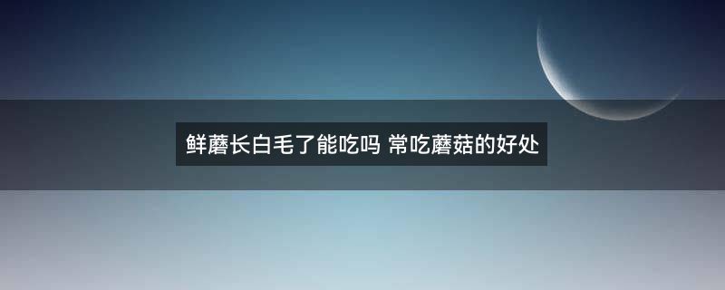 蘑菇6002.jpg