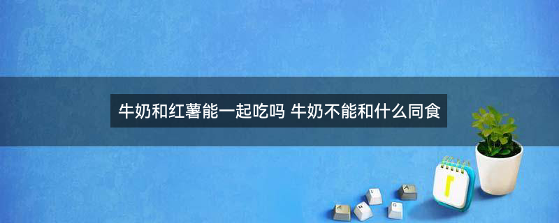 菠萝7.jpg