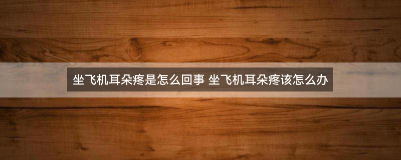 _坐飞机去旅行（企业商用）.jpg