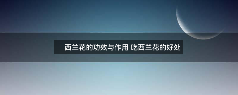 西兰花2.jpg