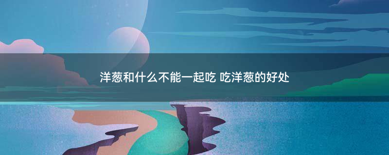 虾3.jpg