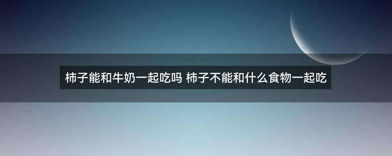 柿子3.jpg
