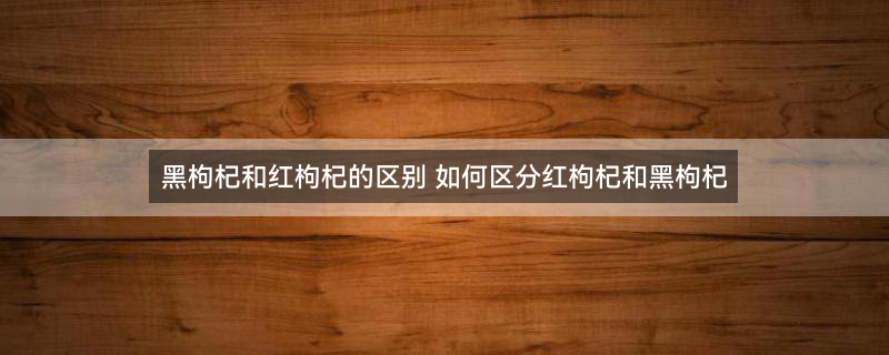 黑枸杞子1.jpg