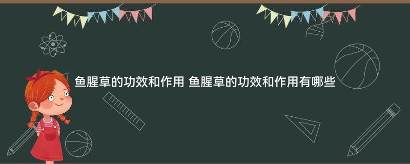 鱼腥草2.jpg