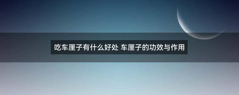 车厘子1.jpg