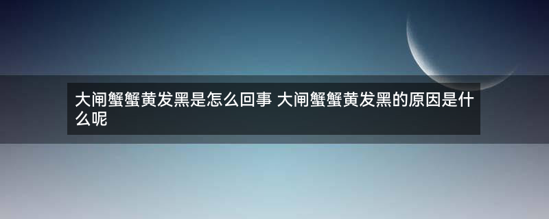 大闸蟹 螃蟹.jpg